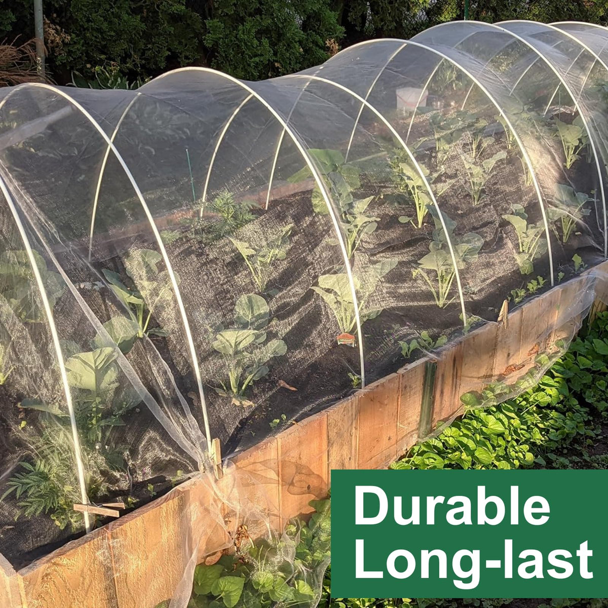 Rohuis vegetable row cover netting protects greens while remaining breeze-friendly
