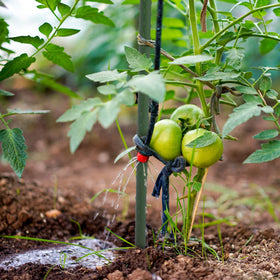 ROMODEN ground-insert pointed-head stake for easy installation.