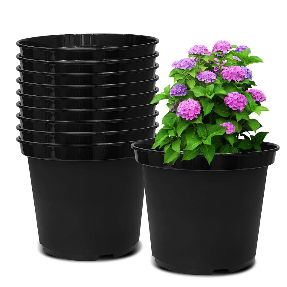 RooTrimmer 3 Gallon pot shown from the front for easy planting and transport.