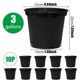 RooTrimmer drainage holes close-up to prevent overwatering and root rot risks.
