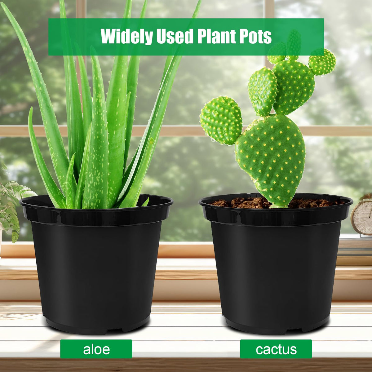 RooTrimmer indoor-outdoor use demonstrated for versatile plant setups.