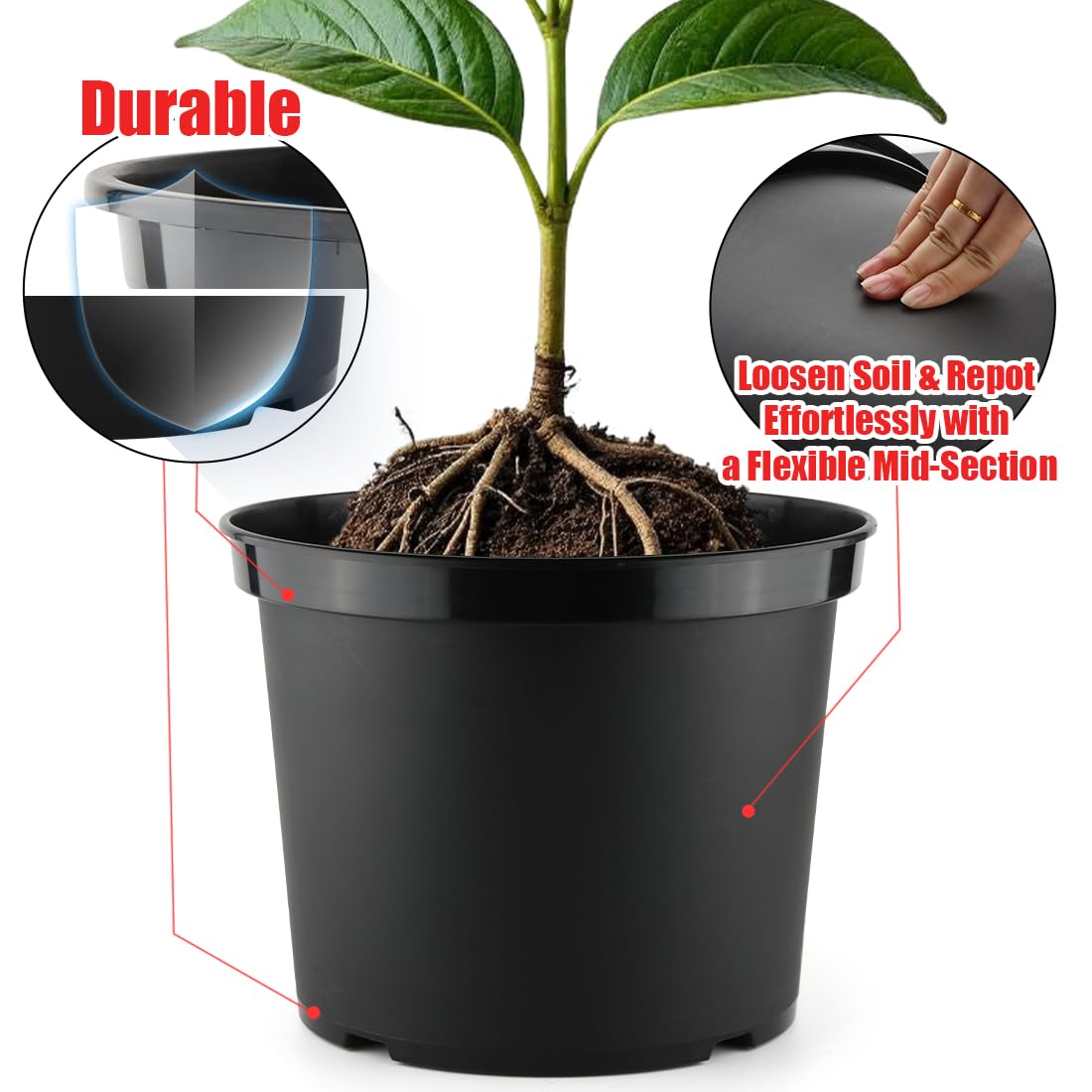 RooTrimmer rolled rim close-up highlights easy lifting and transplanting.
