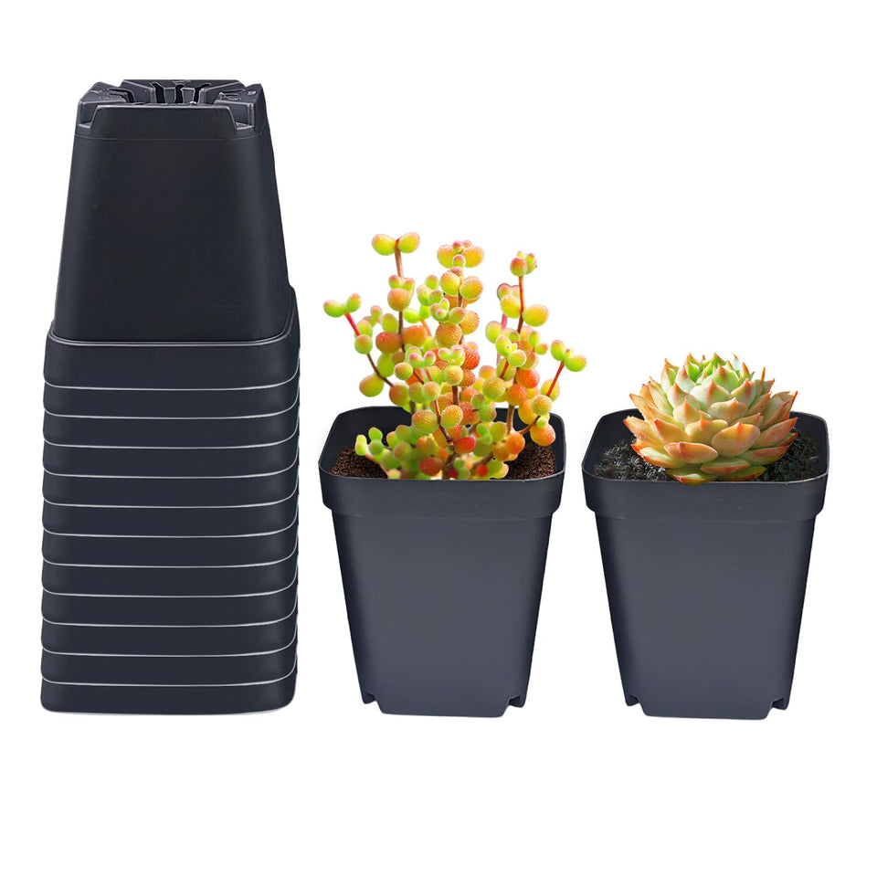 RooTrimmer square pots 3.54-inch top view ideal for tidy seed starting in trays.