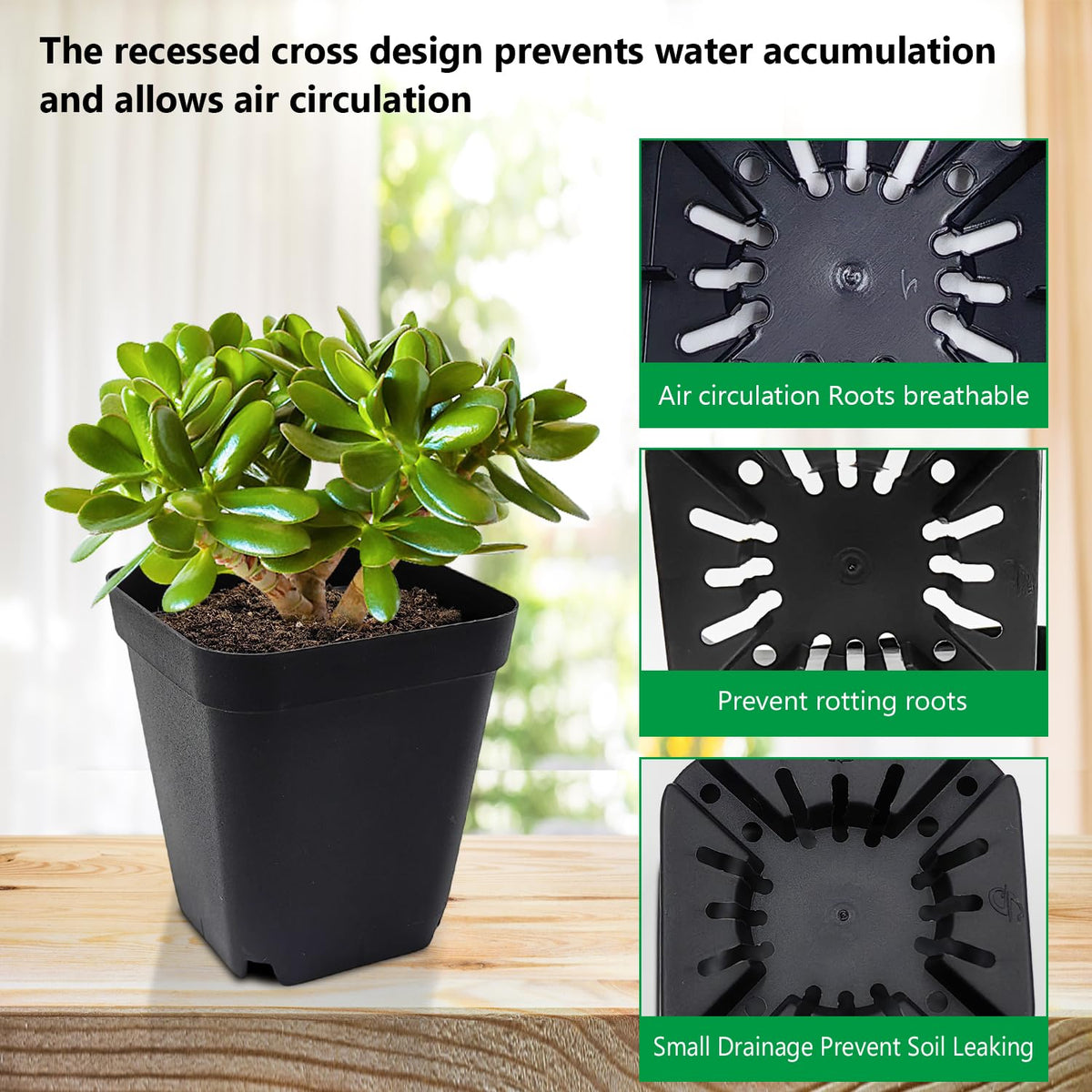 RooTrimmer square pots with a 4-inch tall profile for more soil capacity.