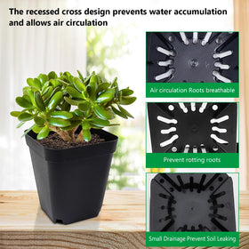 RooTrimmer square pots with a 4-inch tall profile for more soil capacity.