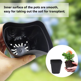 RooTrimmer square pots shown in a 1020 tray for compact seedling setup.