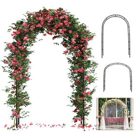 ROOLLYA thickened 0.7mm garden arch front view, sturdy rust-resistant frame for outdoor use
