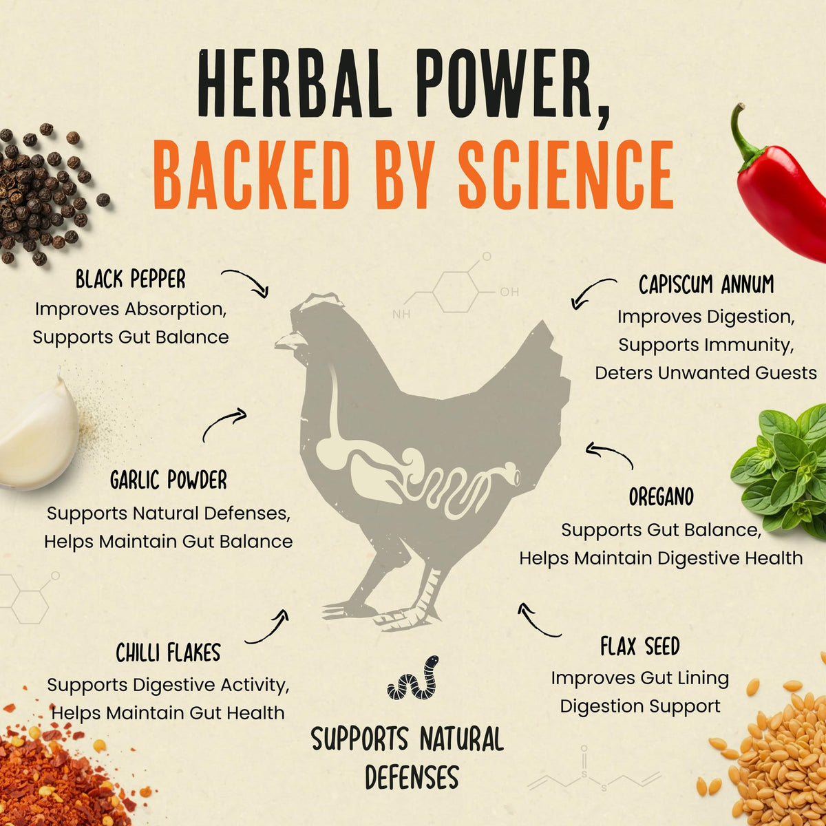 Roosty's chili mix being sprinkled into poultry feed for prevention