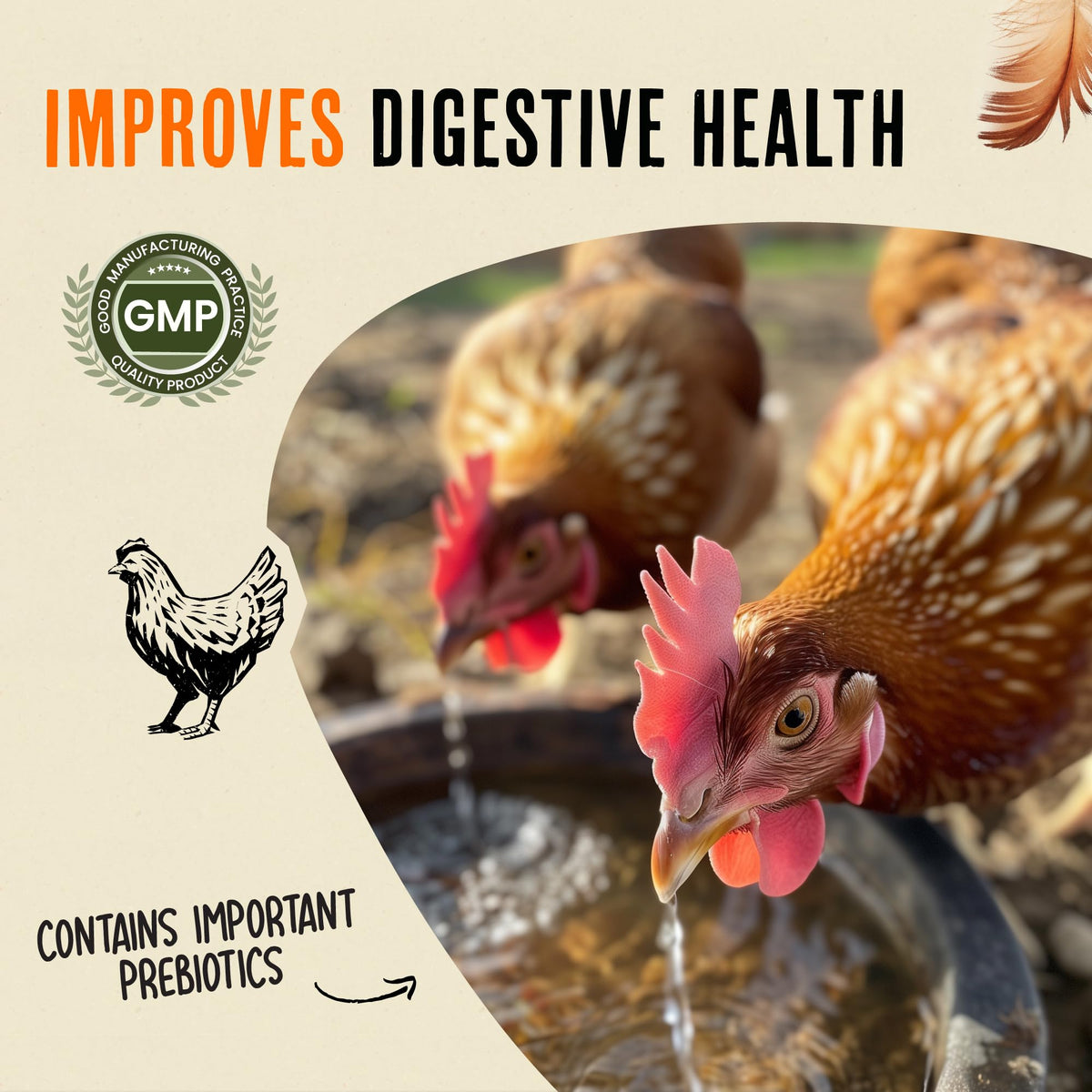 Pour-ready Roosty's Immunity Digestion Booster dose ready to mix for daily feeding.