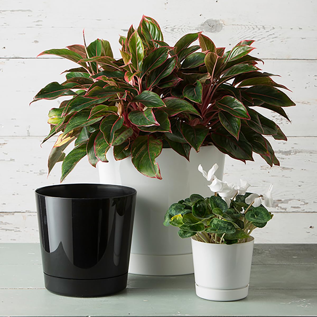 Made in the USA recyclable plastic Root and Vessel Majestic pot