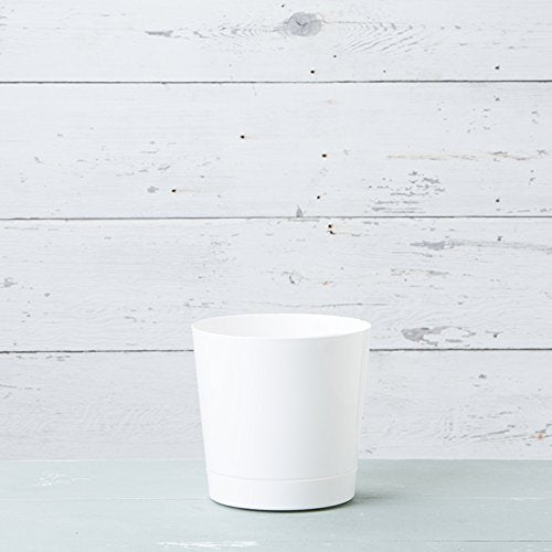 Glossy white 10-inch cylinder pot side view for contemporary spaces