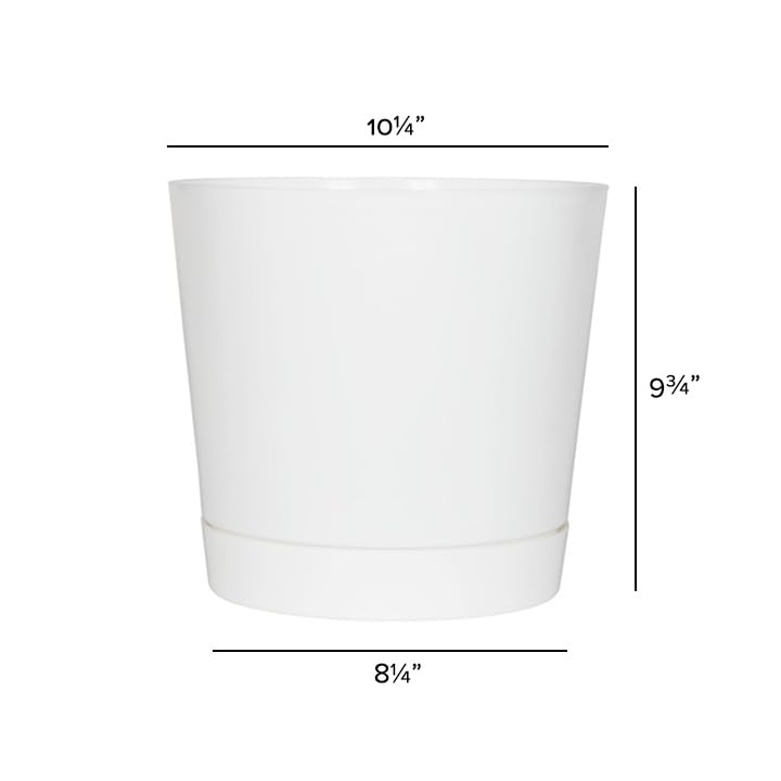 Root and Vessel pot with built in tray protects surfaces