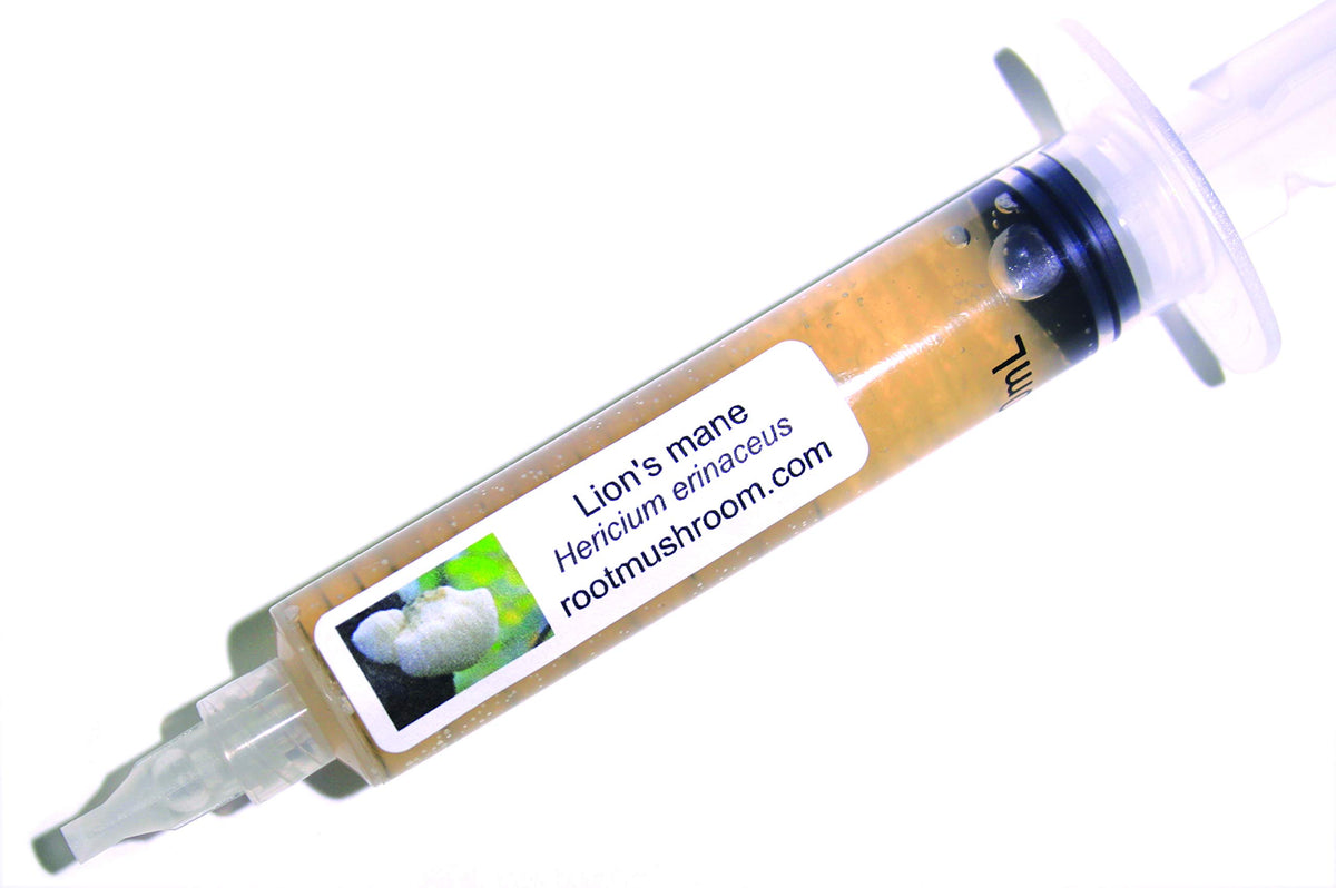 Root Mushroom Farm Lion's Mane liquid culture bottle ready for inoculation.