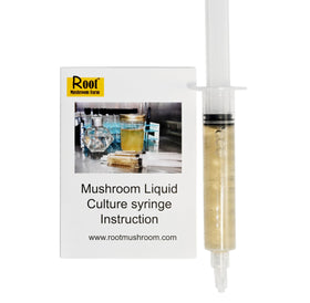 Close-up of Lion's Mane liquid culture showing active mycelium in suspension.