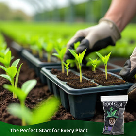 Root Riot starter cubes moisture visual showing optimal moisture retention for roots.
