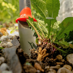 Root Slayer 16211 inverted V-tip penetrates compact ground with ease.