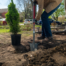 Root Slayer spade design combines power and balance for root removal.