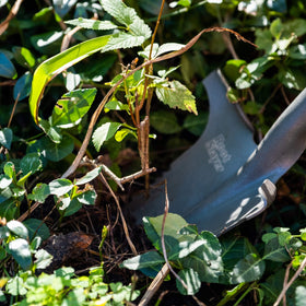 Root Slayer Nomad compact digging in action demonstrates versatility for garden work.