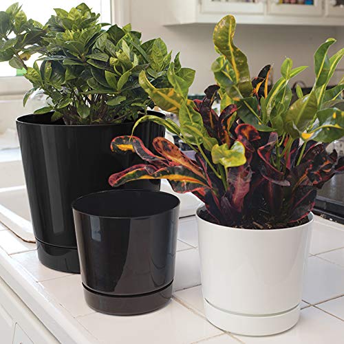 Root & Vessel Majestic pot close-up highlights glossy finish and durable material
