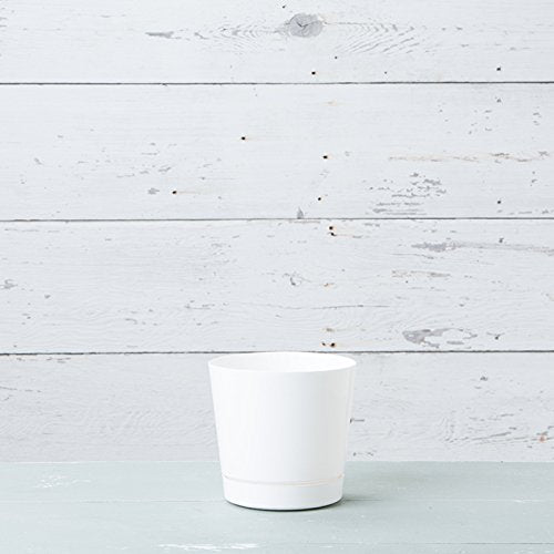 Root & Vessel Majestic pot tray attached shows surface protection on decks