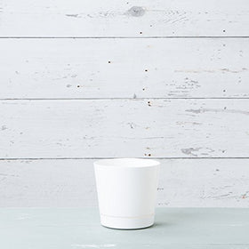 Root & Vessel Majestic pot tray attached shows surface protection on decks