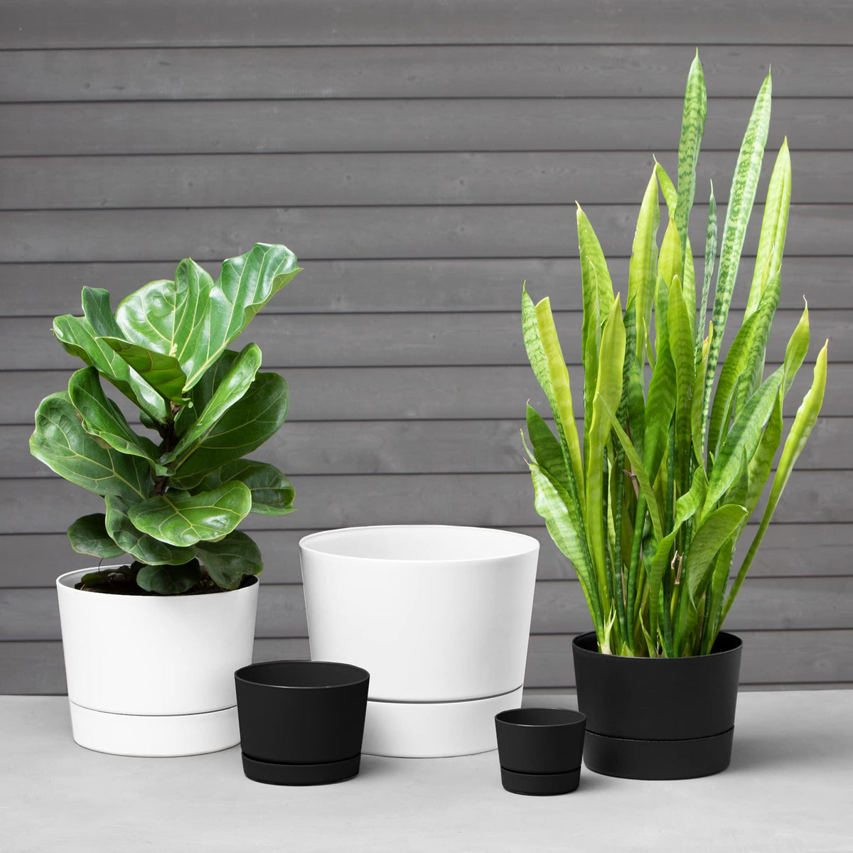 Root & Vessel Majestic MCM pot, side view, lightweight build ideal for versatile placement.
