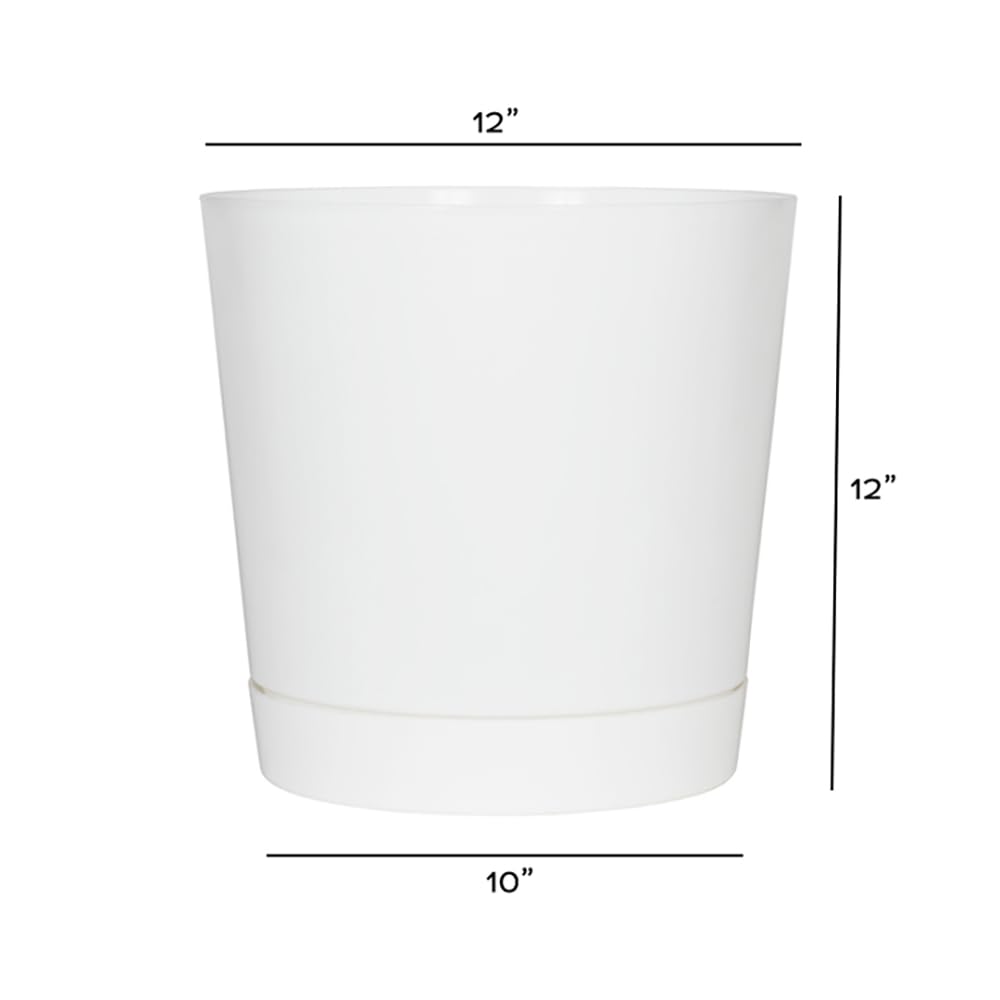 Root & Vessel Novelty Majestic cylinder pot with built-in tray protecting surfaces.