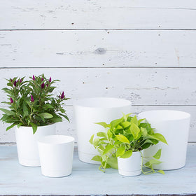 Root & Vessel 12x12 inch pot dimension supports mid-size to large plants.