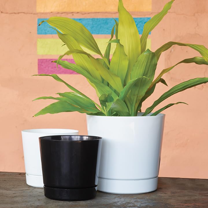 Root & Vessel recyclable plastic pot suitable for indoor and outdoor use.