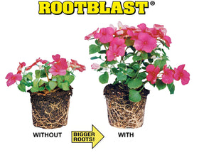 Rootblast seedling-transplant-setup promotes strong roots for faster establishment.