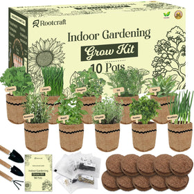 ROOTCRAFT 10-herb-kit front view for beginner indoor gardening, easy setup