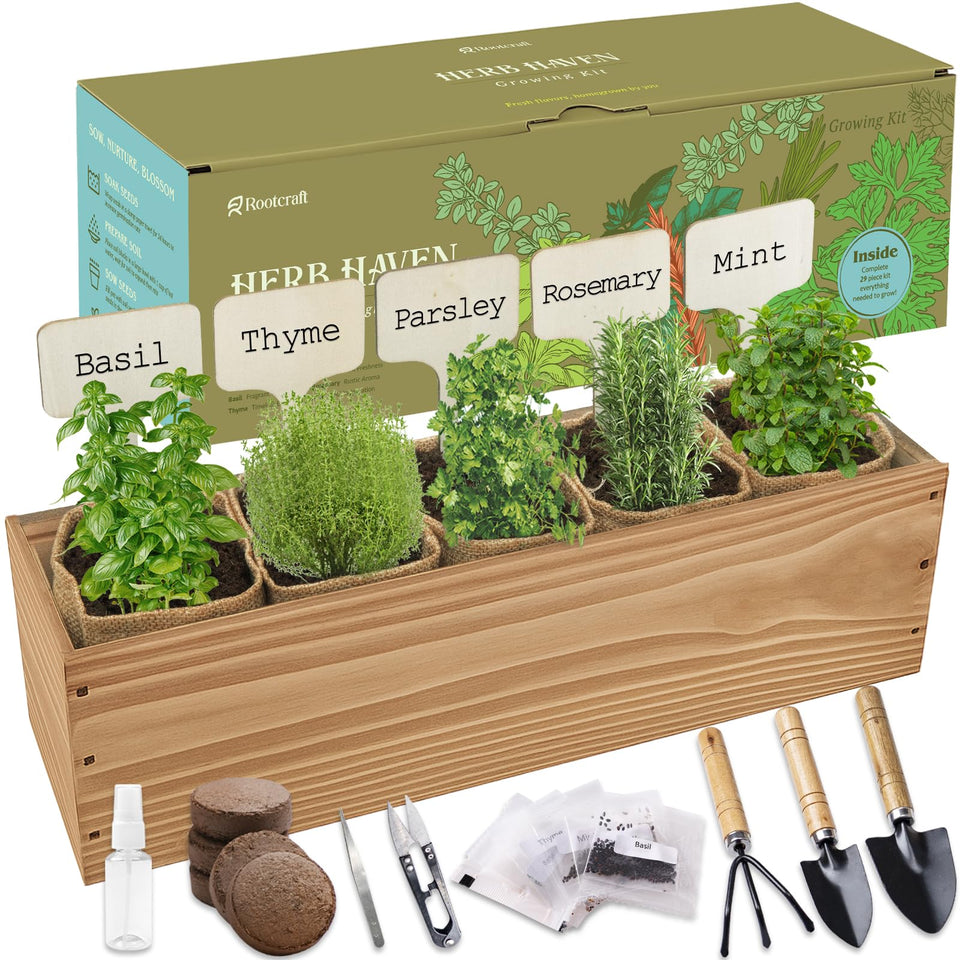RootCRAFT 5-herb garden planter in a wooden box for stable indoor growth.