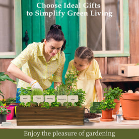 RootCRAFT elegant wooden box serves as a stylish, gift-ready centerpiece.