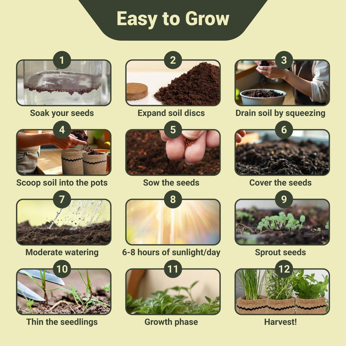 ROOTCRAFT soil discs expanding to create rich growing medium