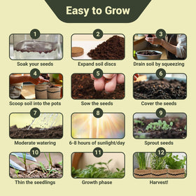 ROOTCRAFT soil discs expanding to create rich growing medium