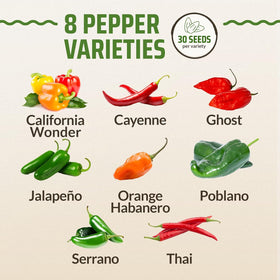 Rooted Acre Cayenne seeds for spicy harvests and sauces