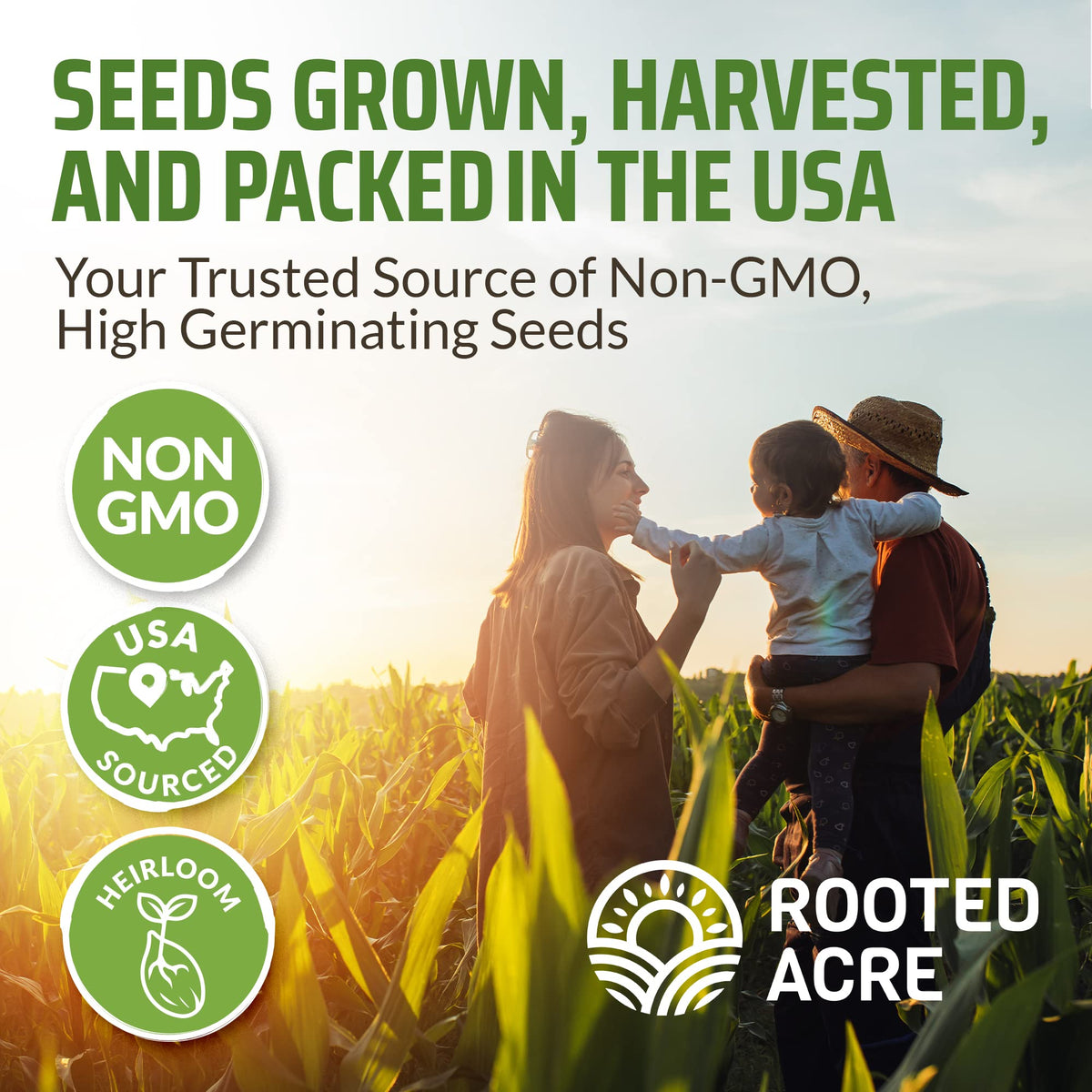 Rooted Acre Ghost Serrano seeds for intense flavor and variety