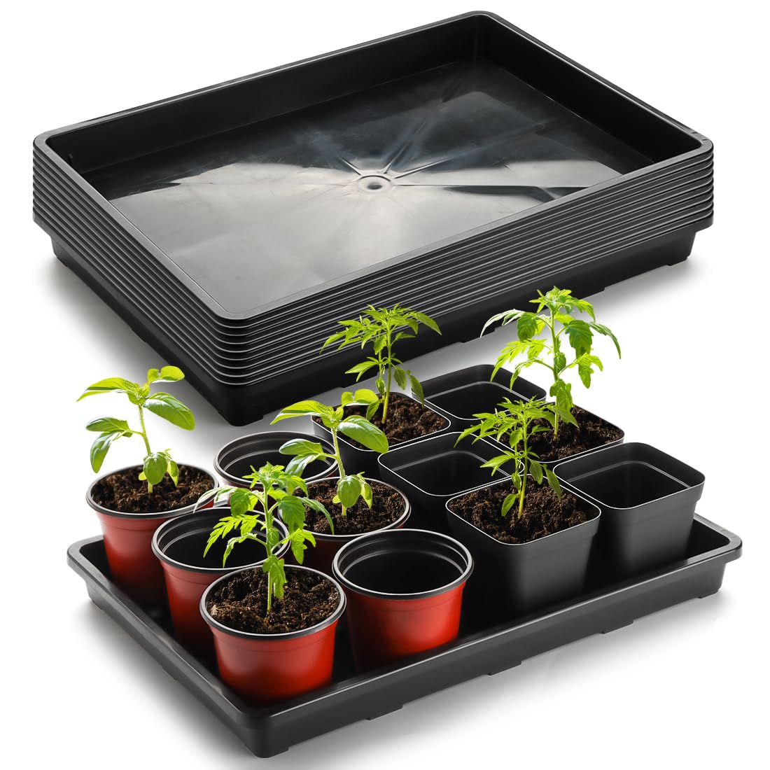 RooTrimmer 10-pack seedling trays top view for efficient seed starting