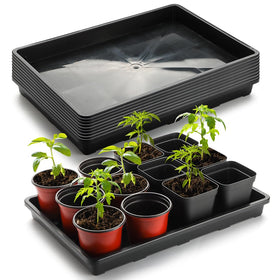 RooTrimmer 10-pack seedling trays top view for efficient seed starting