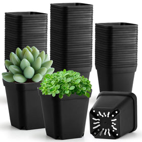 RooTrimmer 100-pack square seedling pots top view for uniform germination