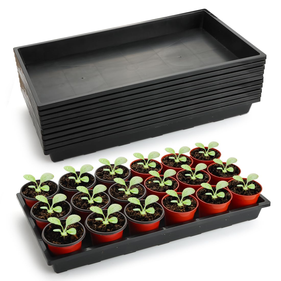 RooTrimmer 1020 seed starter tray top view for efficient seedling setup