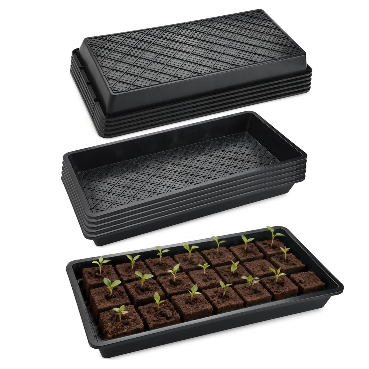 RooTrimmer 1020 mesh bottom tray with holes for excellent drainage and root aeration.