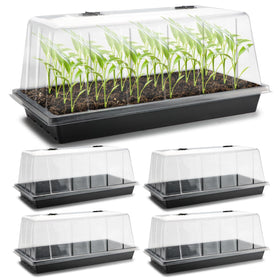 RooTrimmer 1020 seed tray with high dome for balcony germination.