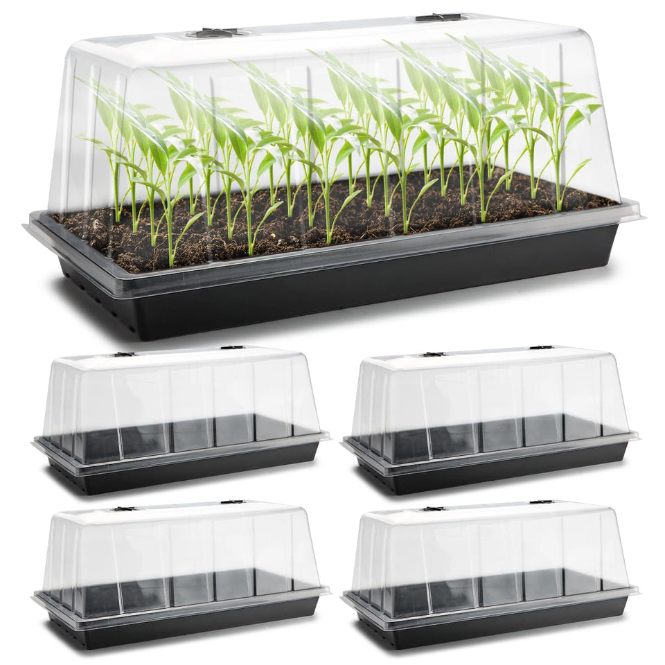 RooTrimmer 1020 seed tray with high dome for balcony germination.