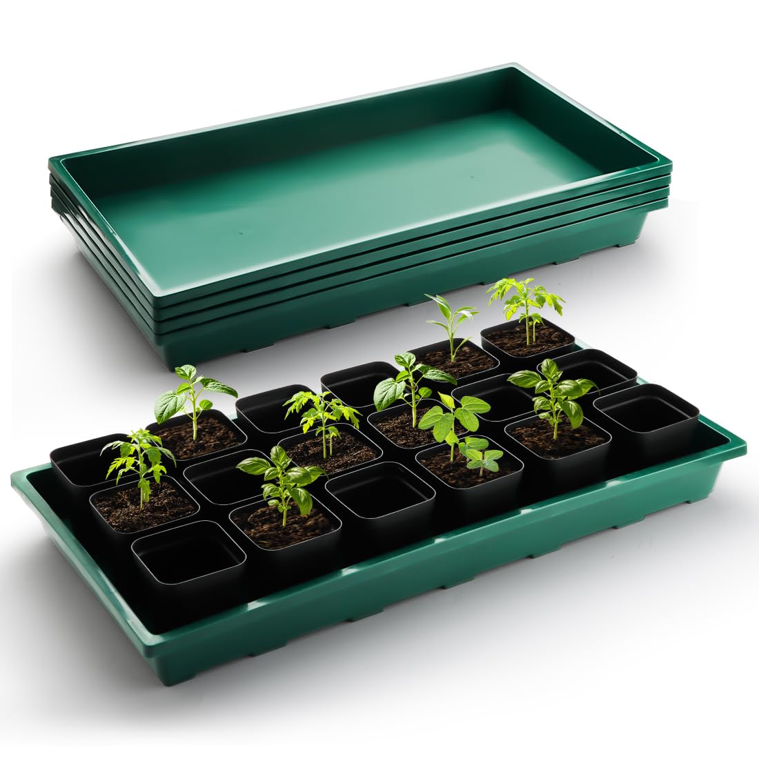 RooTrimmer 1020 seedling trays green for organized seed starting