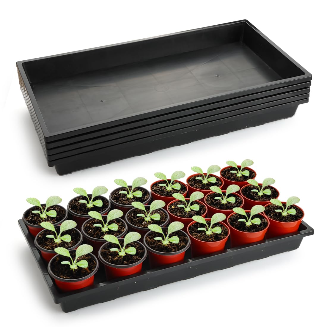 RooTrimmer 1020 seedling tray front view for safe seed starting with BPA-free plastic.