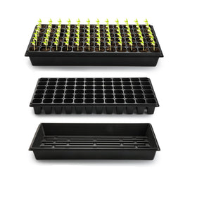 RooTrimmer 1020 trays with a sturdy base for easy watering and durable reuse.