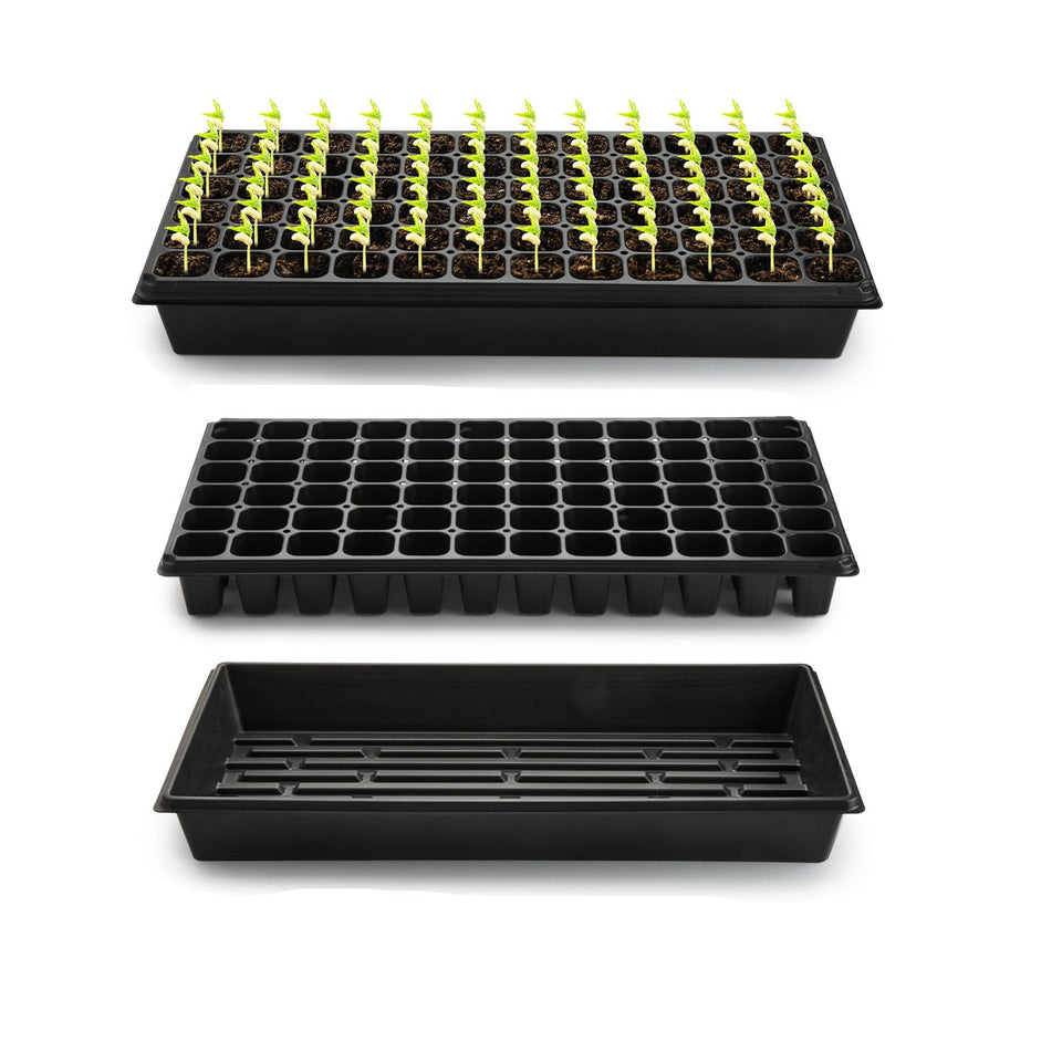 RooTrimmer 1020 trays with a sturdy base for easy watering and durable reuse.