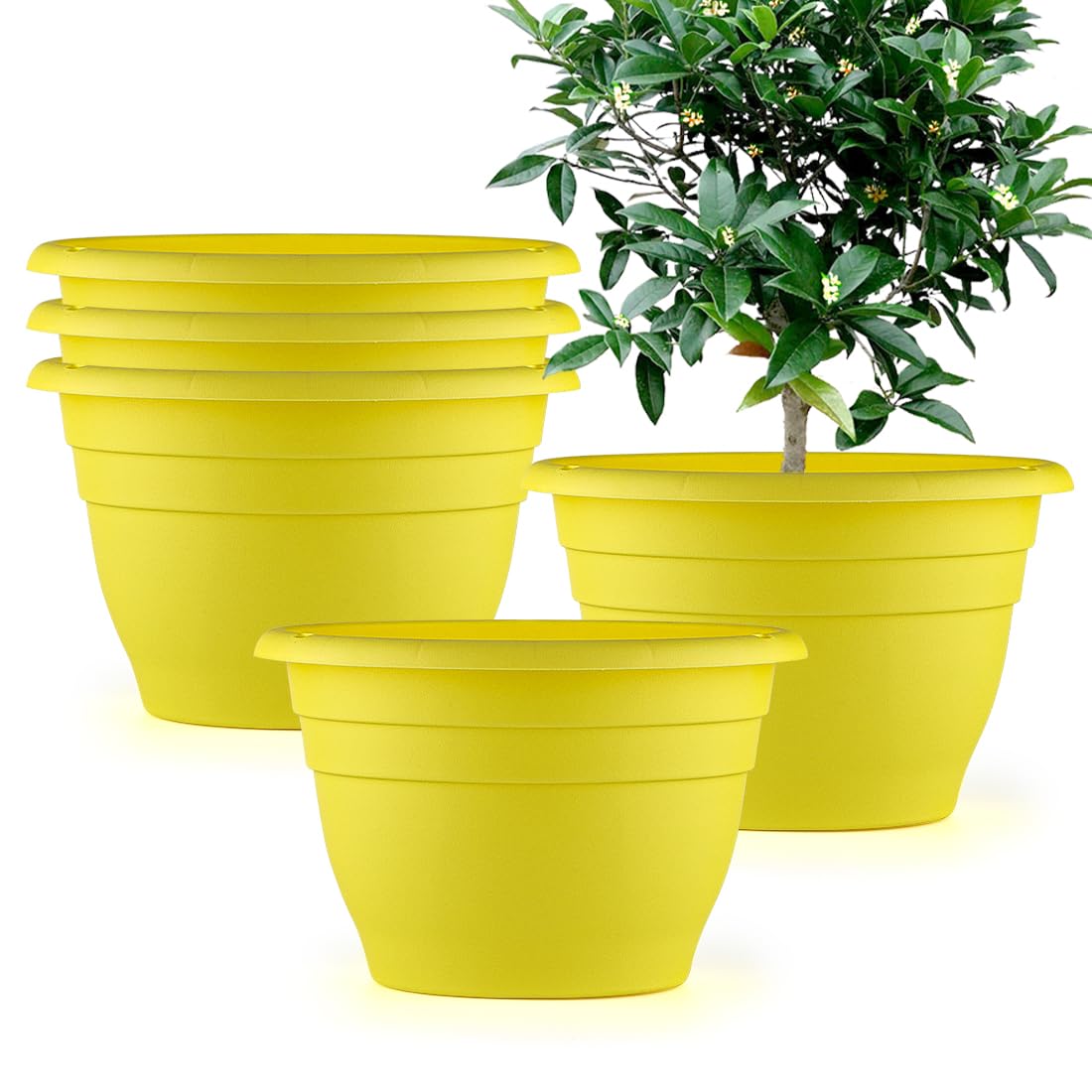 RooTrimmer 10-Inch Yellow Pots, front view, ideal for indoor spaces.