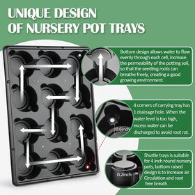 RooTrimmer 12-cell carry trays keep seedlings organized during transport